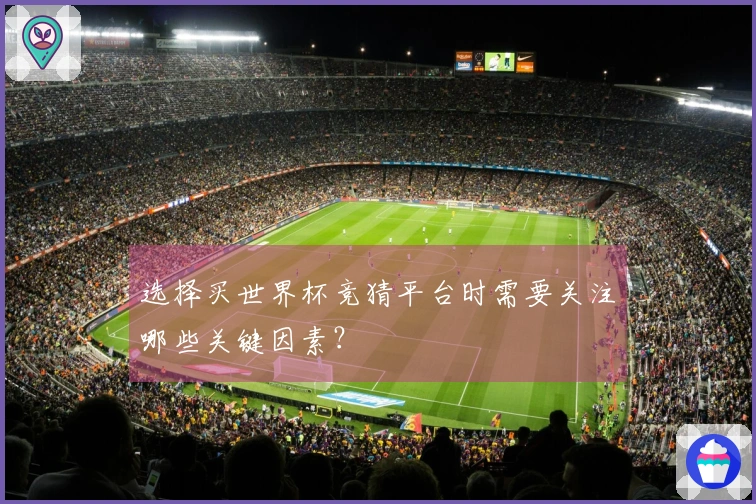 选择买世界杯竞猜平台时需要关注哪些关键因素？