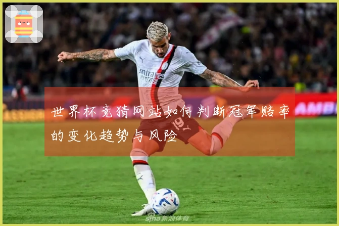 世界杯竞猜网站如何判断冠军赔率的变化趋势与风险