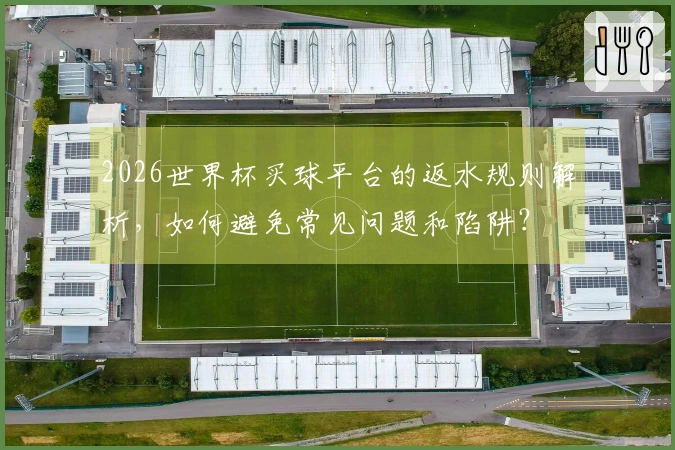 2026世界杯买球平台的返水规则解析，如何避免常见问题和陷阱？
