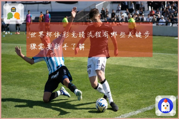 世界杯体彩竞猜流程有哪些关键步骤需要新手了解