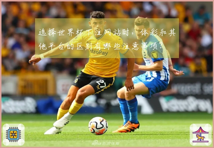 选择世界杯下注网站时,体彩和其他平台的区别有哪些注意事项?