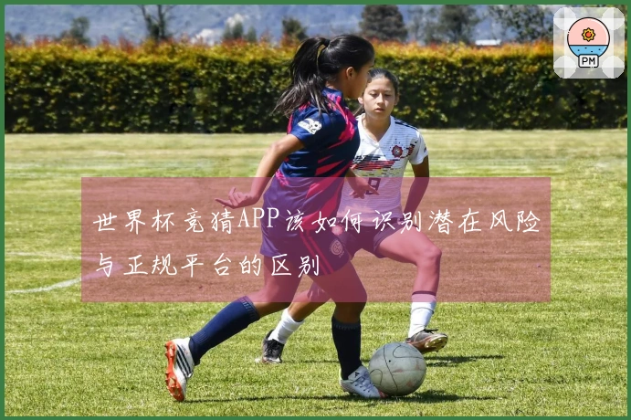 世界杯竞猜APP该如何识别潜在风险与正规平台的区别