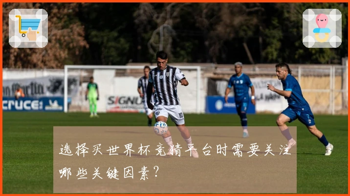 选择买世界杯竞猜平台时需要关注哪些关键因素？