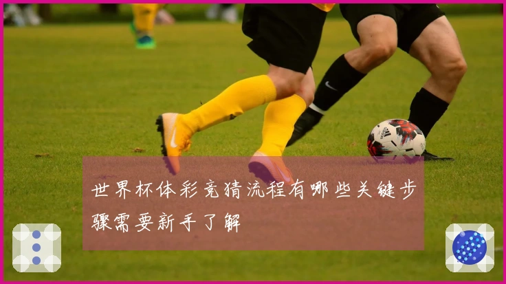 世界杯体彩竞猜流程有哪些关键步骤需要新手了解