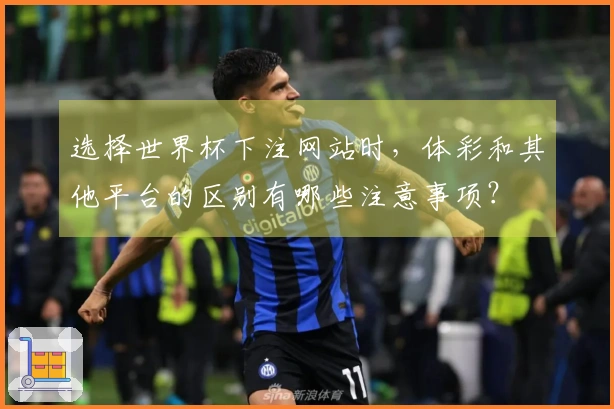 选择世界杯下注网站时，体彩和其他平台的区别有哪些注意事项？