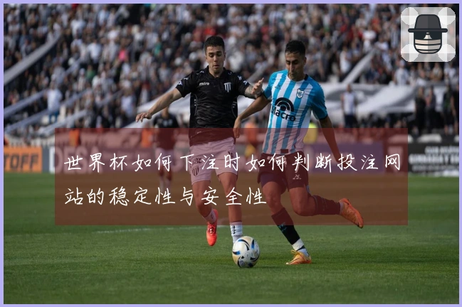 世界杯如何下注时如何判断投注网站的稳定性与安全性